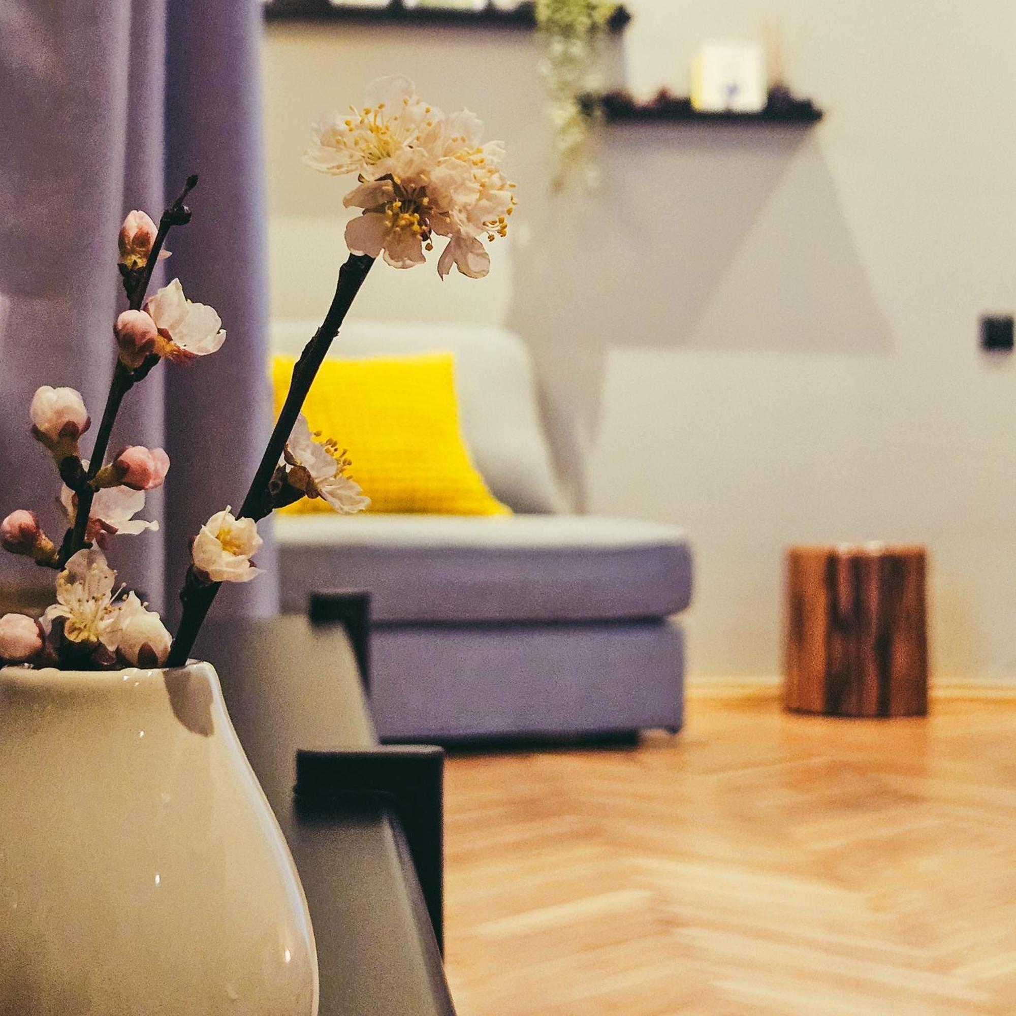 Paulas Room. Riga Dış mekan fotoğraf